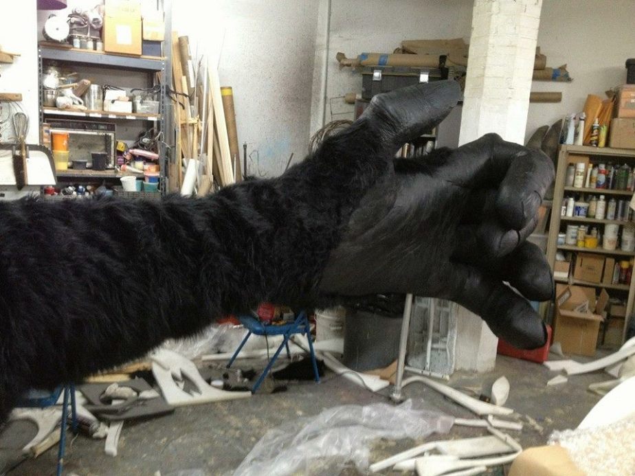 10458154_10203978054558902_5634417573519885774_n