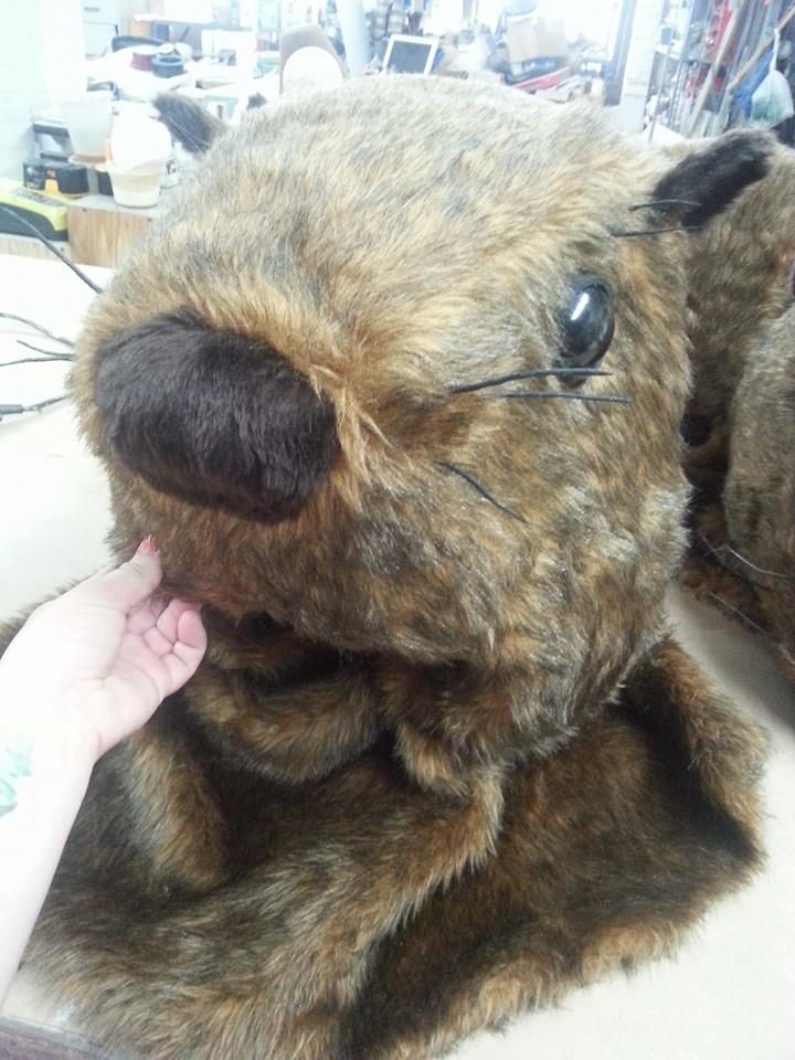 10464279_10203978055998938_1478804110583249058_n