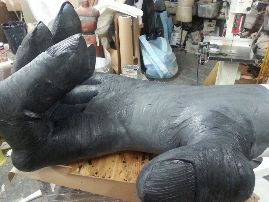 10475254_10203978055358922_7517305481795280378_n