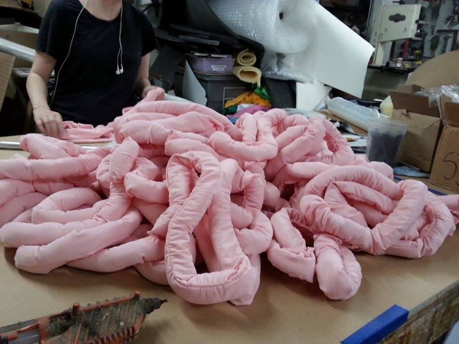 10850519_10205059365991012_1953133861_n