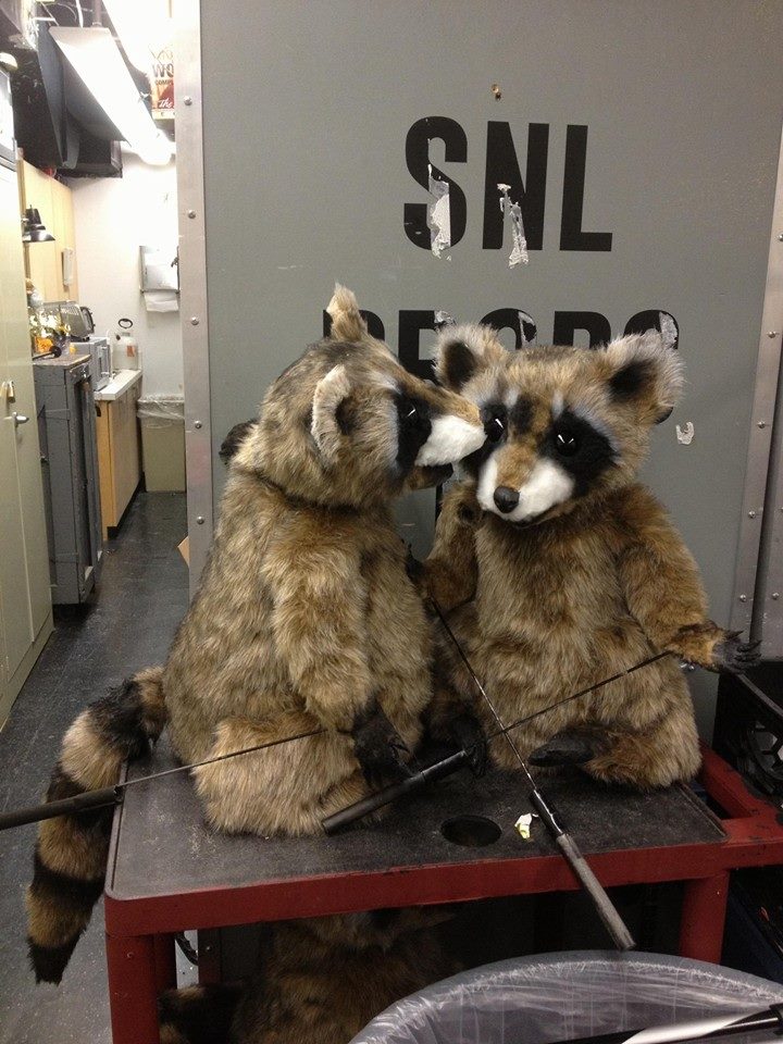 10868268_761029367279776_2928869445400893813_n